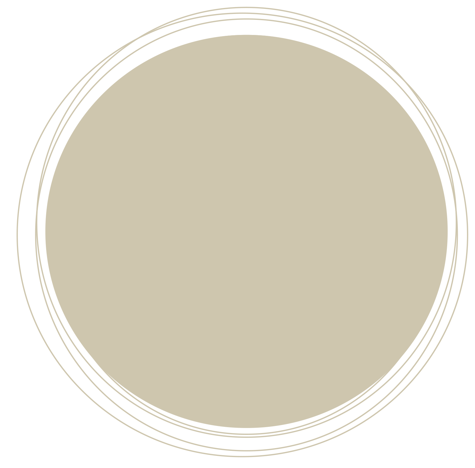 bouton-animation-en-entreprise marron 2