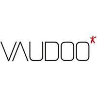 logo vaudoo 2